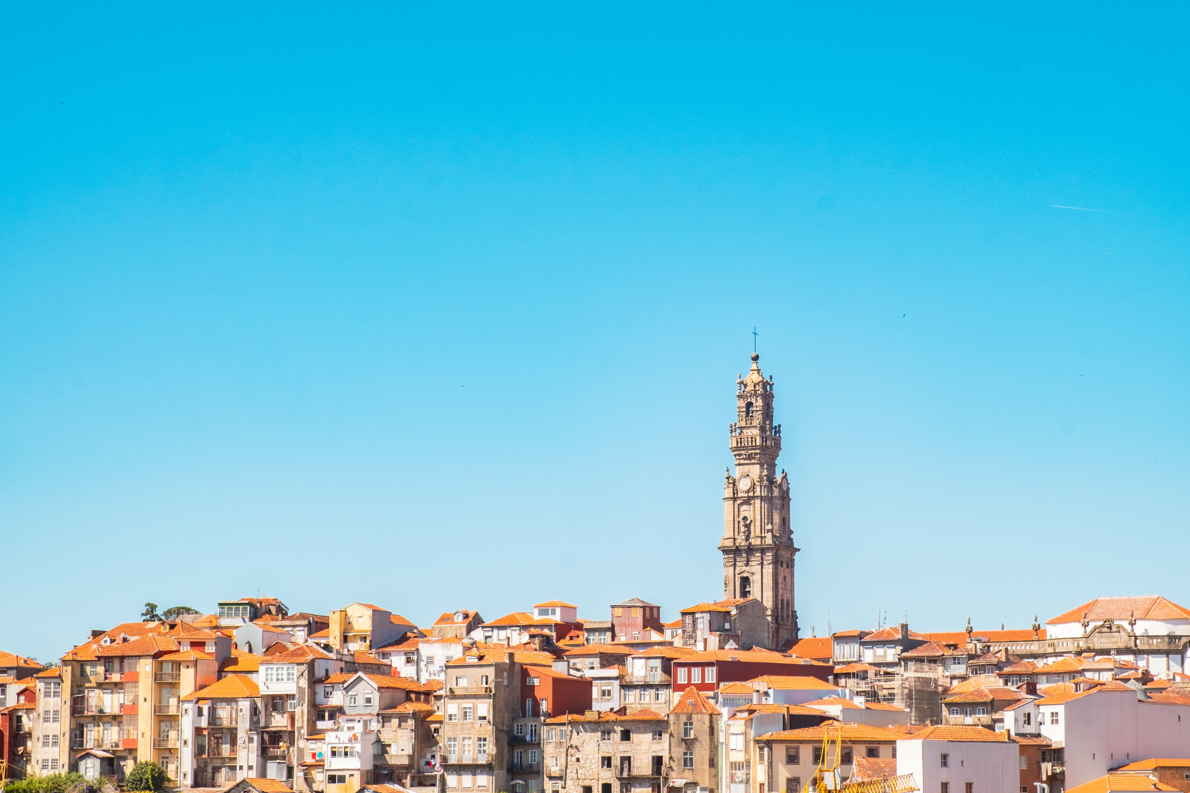 porto carras (3).webp